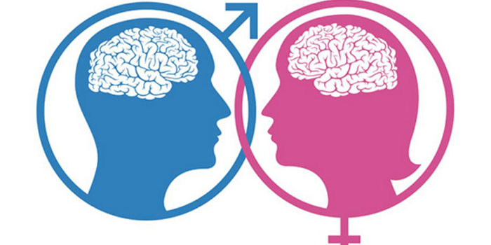Descubra a diferença entre o cérebro masculino e o feminino